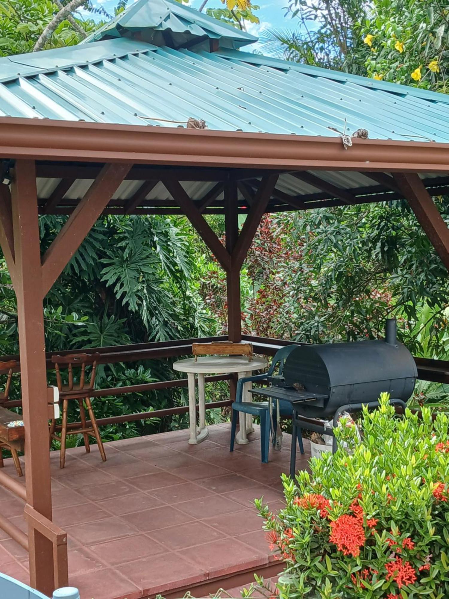 Studio Pilon De Pavones Pavones  Exterior foto