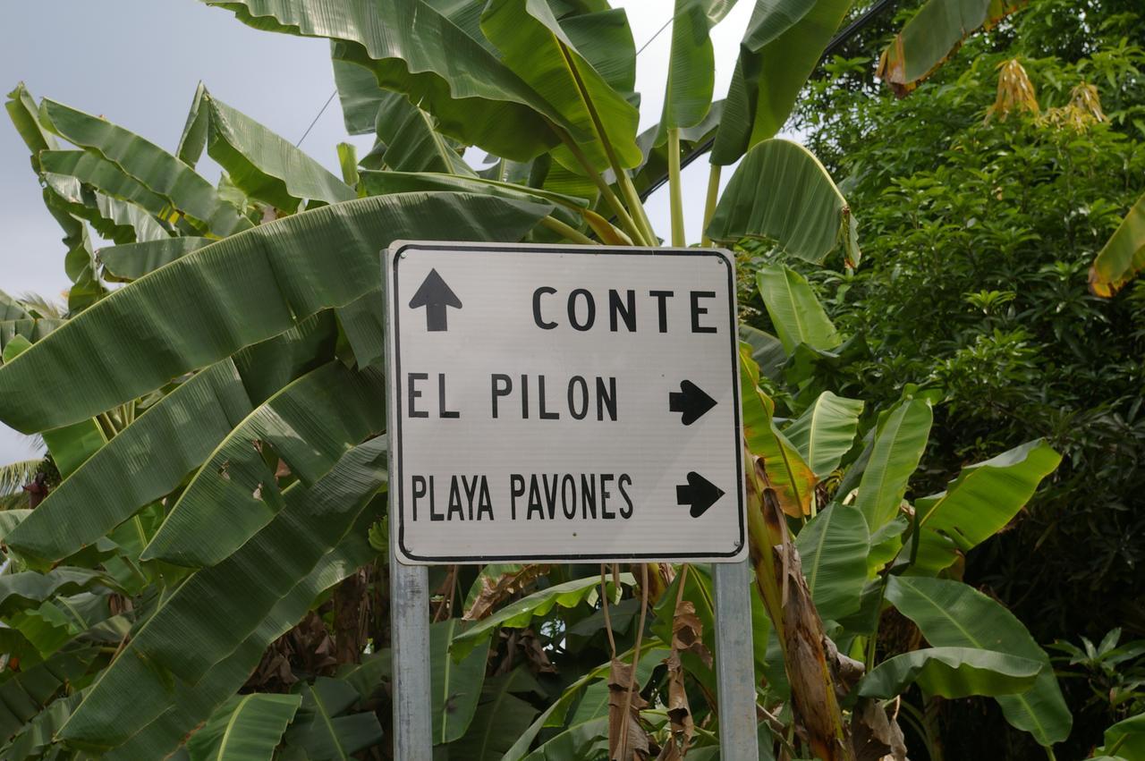 Studio Pilon De Pavones Pavones  Exterior foto